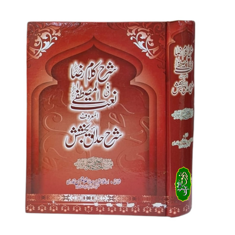 شرح کلام رضا