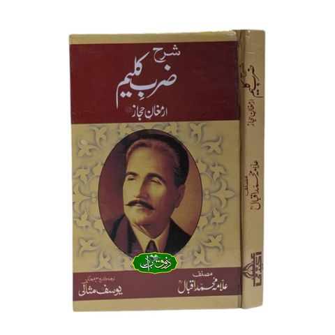 شرح ضرب کلیم
