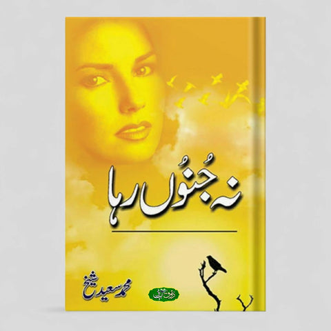 نہ جنوں رہا