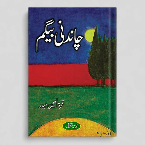 چاندنی بیگم