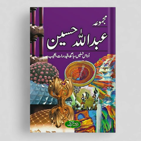 مجموعہ عبداللہ حسین